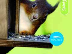 foto di Salon Naturel'Monts