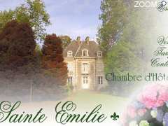 picture of chateau sainte Emilie